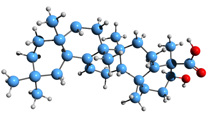 structure moléculaire des acides boswelliques